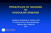 PRINCIPLES OF IMAGING IN VASCULAR DISEASE - · PDF filePRINCIPLES OF IMAGING IN VASCULAR DISEASE Professor Antoinette S ... • FDA mandate all flouro machines report ... – Large