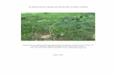 3.0 ANALYSIS OF TRADE OF INTSIA SPP. IN NEW GUINEA · PDF file3.0 ANALYSIS OF TRADE OF INTSIA SPP. IN NEW GUINEA ... timber size trees; ... of the Indian and Pacific Oceans (Verdcourt,