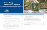 Flowing Artesian Wells - British · PDF fileFlowing Artesian Wells Water Stewardship Information Series Table of Contents What’s the difference between a flowing artesian well and
