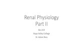 Renal Physiology Part II - Napa Valley Collegenapavalley.edu/people/aross/Documents/Lec26_Renal2_219.pdf · Renal Physiology Part II Bio 219 Napa Valley College Dr. Adam Ross