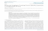 Review Molecular Imaging in Tracking Tumor … Molecular Imaging in Tracking Tumor -Specific Cytotoxic T Lymphocytes (CTLs) Zhiyi Liu and Zheng Li Department of Translational Imaging,