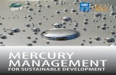 MERCURY MANAGEMENT - United Nations Institute for …cwm.unitar.org/.../1298/mercury_publication_english.pdf ·  · 2017-03-23activities and describes our future focus areas on mercury
