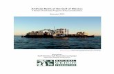 Artificial Reefs of the Gulf of Mexico: A Review of Gulf .../media/PDFs/Water/Review-of-GoM-Artificial-Reefs... · Artificial Reefs of the Gulf ... Map of Alabama's Inshore Fishing
