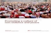 The Red Cross Red Crescent approach to Promoting a … report on...4 International Federation of Red Cross and Red Crescent Societies The Red Cross Red Crescent approach to Promoting