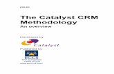 The Catalyst CRM Methodology - · PDF fileThe Catalyst CRM Methodology breaks down what otherwise would be a dauntingly ... planning and managing the CRM project ... Sponsorship &