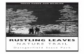 Rustling Leaves Nature Trail & Interpretive Guide PDF - · PDF fileRUSTLING LEAVES NATURE TRAIL Daingerfield State Park. Bass Lodge Bath House ... purple leaves in autumn, has the