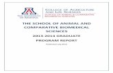 THE SCHOOL OF ANIMAL AND COMPARATIVE BIOMEDICAL SCIENCES · PDF fileThe School of Animal and Comparative Biomedical Sciences offers ... PhD Animal Sciences Shantz 232 621-7764 guerrier@email