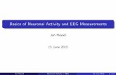 Basics of Neuronal Activity and EEG Measurementsepileptologie-bonn.de/.../JHeysel_NeuronalBasicsEEG.pdf ·  · 2015-06-30Basics of Neuronal Activity and EEG Measurements Jan Heysel
