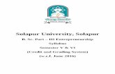 Solapur University, Solapursu.digitaluniversity.ac/WebFiles/B Sc III Entrepreneurship CGPA.pdf · SOLAPUR UNIVERSITY, SOLAPUR ... This project work carries 100 marks. ... Ent502 Human