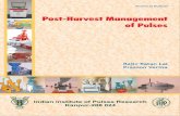 Post-Harvest Management of Pulsesiipr.res.in/pdf/postbulletins2may13.pdf · Post-Harvest Management of Pulses ICAR Hkkd`vuqi Indian Institute of Pulses Research Kanpur-208 024 Rajiv
