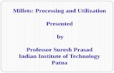 Millets: Processing and Utilization Presented by · PDF fileMillets: Processing and Utilization Presented by ... Tamil; Thenai. Samai; Vargu. Panivaragu; ... finger millet andother
