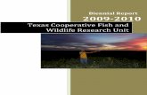 Biennial Report final - Texas Tech prairie‐chickens at sunrise in west Texas. (Credits for this and other ... Texas Agrilife Resources and Extension Center ...