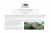 Programmatic and Financial Report Sumatran and ... … and Financial Report Sumatran and Javan Rhino Conservation Programs for the Period ... (Rhinoceros sondaicus) in the world, surviving