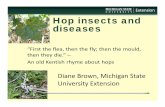 Hop insects and diseases - MSU Extensionmsue.anr.msu.edu/uploads/236/71516/Hop_insects_and_diseases_i… · Hop insects and diseases Diane Brown, Michigan State ... • Wettable sulfur