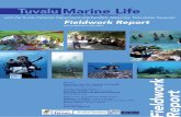 Fieldwork Report - Alofa Tuvalu light.pdf · Survey main participants : Semese Alefaio, Marine biologist Tupulaga Poulasi & Nikolasi Apinelu (Tuvalu Fisheries) ... Fieldwork Report