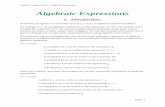 Algebraic Expressionsfaculty.olympic.edu/drobertson/Math 99/Math 94 Completed Sabbatical...Olympic College Topic 1 – Algebraic Expressions Page | 1 Algebraic Expressions 1. Introduction: