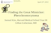 Finding the Great Mimicker: Pheochromocytomaeradiology.bidmc.harvard.edu/LearningLab/genito/Kim... ·  · 2013-05-26Finding the Great Mimicker: Pheochromocytoma ... •Supplemental