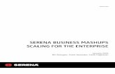 SERENA BUSINESS MASHUPS SCALING FOR THE · PDF file7 SERENA BUSINESS MASHUPS SCALING FOR THE ENTERPRISE PATH TO PRODUCTION Best practices in software management advocate multiple environments