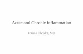 Acute and Chronic inflammation - Med Study Groupmsg2018.weebly.com/uploads/1/6/1/0/16101502/pathology_slides_3_bw.pdfleukocytes and proteins, normally circulate in the blood, and the