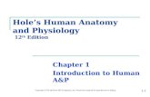 [PPT]PowerPoint to accompany Hole’s Human Anatomy · Web viewTitle: PowerPoint to accompany Hole’s Human Anatomy and Physiology Tenth Edition Authors here Author: Ryan&Regina Hoffman