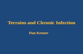 Terrains and Chronic Infection - · PDF fileTerrains and Chronic Infection ... genitourinary and respiratory systems, oral mucosa and teeth, ... of some chronic inflammatory diseases