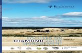 focused on diamond value management - Rockwell … has acquired interests in the following alluvial diamond properties in south africa: • Saxendrift • Holpan-Klipdam • Tirisano