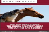 Heal Your Animals Faster: The Injury Recovery Guide for ... · PDF fileHeal Your Animals Faster: The Injury Recovery Guide for Canines and ... Animals Faster: The Injury Recovery Guide