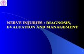 NERVE INJURIES DIAGNOSIS, EVALUATION AND ... INJURIES : DIAGNOSIS, EVALUATION AND MANAGEMENT 2 APPROACH • Fundamentally clinical : Through History Neurological Ex. Investigations