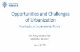 Opportunities and Challenges of Urbanizationpubdocs.worldbank.org/en/...and-Challenges-of-Urbanization-v3.pdf · the system towards formality ... Dynamic stochastic model of urbanization