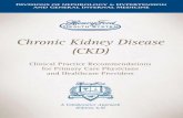 Chronic Kidney Disease (CKD) - American Society of · PDF fileChronic Kidney Disease (CKD) Clinical Practice Recommendations for Primary Care Physicians and Healthcare Providers A