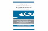 Ocular Inflammation Animal Model Workshop - · PDF fileAnimal Models of Ocular Inflammation, Neo-vascularization, AMD, Diabetes, Intraocular Lymphoma, ... - Model of acute anterior