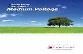 Power factor correction in Medium Voltage Technolgy friecircutor.com/docs/MT_EN_Cat.pdf · Standards IEC 60.871-1 Insulators Porcelain Casing Stainless steel (2 mm thick) ... values
