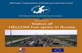 Report on the Status of HELCOM hot spots in Russiahelcom.fi/Lists/Publications/Report on the status of HELCOM hot... · Status of HELCOM hot spots in Russia ... The Syaskiy Pulp and