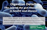 The Human Microbiome: The Undiscovered Country June 3 Gut Lecture.pdfClinical Microbiology and Infection Volume 19, Issue 4, pages 305-313, 2 MAR 2013 DOI: 10.1111/1469-0691.12172
