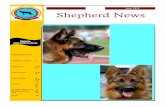 Shepherd News June 17 - German Shepherd Dog Club …gsdcsa.org.au/.../2015/11/Shepherd-News-June-17-1.pdfpick up a raffle book to sell. Kelly Smith is also after ideas for fundraising