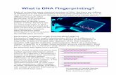 What is DNA Fingerprinting? - UF CPET · PDF fileWhat is DNA Fingerprinting? ... support training, protect the innocent, and identify missing persons. ... Also in the case of rapes,