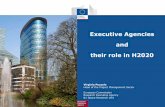 Executive Agencies and their role in H2020 - UAS4EUROPEuas4europe.eu/files/UAS4EUROPE-REA-Puzzolo-2017-15-03.pdf · Executive Agencies and their role in H2020 ... nanotechnology,