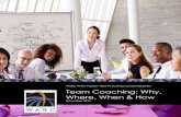 Team Coaching: Why, Where, When & How. WABC White · PDF fileTeam Coaching: Why, Where, When & How 0 November 2016 ... let alone one discipline, to ... team business coaches into all