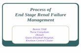 Process of End Stage Renal Failure Management - …hksne.org.hk/course/Process_of_End_Stage_Renal... · therapy including renal palliative care • Formulation of dialysis plan ...