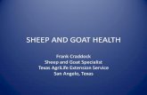 SHEEP AND GOAT HEALTH - Texas A&M AgriLifeagrilifecdn.tamu.edu/.../2012/05/SHEEP-AND-GOAT-HEALTH.pdfparalysis) • No treatment, cull all infected goats GOAT DISEASES CASEOUS LYMPHADENITIS