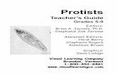 Protists - · PDF file• Explain the major characteristics of fungus-like protists. ... have students create a chart outlining the major groups of ciliates and their characteristics