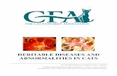 HERITABLE DISEASES AND ABNORMALITIES IN … DISEASES AND ABNORMALITIES IN CATS Genetic diseases and/or abnormalities are a fact of everyone’s life, humans as well as cats. All of