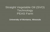 Straight Vegetable Oil (SVO) Technology PEAS Farmdeq.mt.gov/.../SVO_use_PEAS_UM_Polson_Oct2007.pdfCommon Problems with SVO • Not a lot of information available • Engine conversion