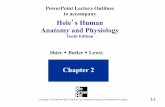 Hole s Human Anatomy and Physiology - Rose Tree … II...Hole’s Human Anatomy and Physiology Tenth Edition Shier ! ... O + NaCl 2-17 . Acid and Base Concentrations ... • two-thirds