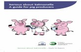 Serious about Salmonella A guide for pig producers · PDF fileas the most common cause of food poisoning in the UK1. ... (NCP). A 12-month survey of Salmonella in breeding pigs in