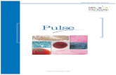 Pulse Issue 13 Dec 2015 - SRL Diagnostics December 2015 Issue 13 Editorial Team President-Research & Innovation SRL, Mumbai Director, Department of Medical Oncology Jaslok Hospital