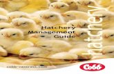 Hatchery Management Guide - Cobb Vantress · PDF fileCOBB Hatchery Management Guide IntrOduCtIOn ... cooling the eggs from the hen house to the hatchery egg room, and also a smooth