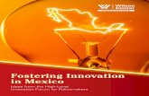 Fostering Innovation in Mexico - Wilson Center · PDF fileFOSTERING INNOVATION IN MEXICO ... and based on protecting its national industries from ... behind other Organization for