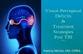 Visual-Perceptual Deficits & Treatment Strategies Post · PDF file• Only visual field loss without inattention benefit best ... A population study.Optometry and ... Visual-Perceptual