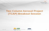 Two Column Aerosol Project (TCAP) Breakout Session · PDF fileTwo Column Aerosol Project (TCAP) Breakout Session TCAP Breakout Session . ... Nemo . Phase 1: ... PowerPoint Template